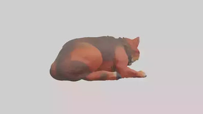 3D model Red Wolf resting model VR / AR / low-poly