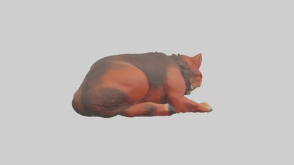 3D model Red Wolf resting model VR / AR / low-poly