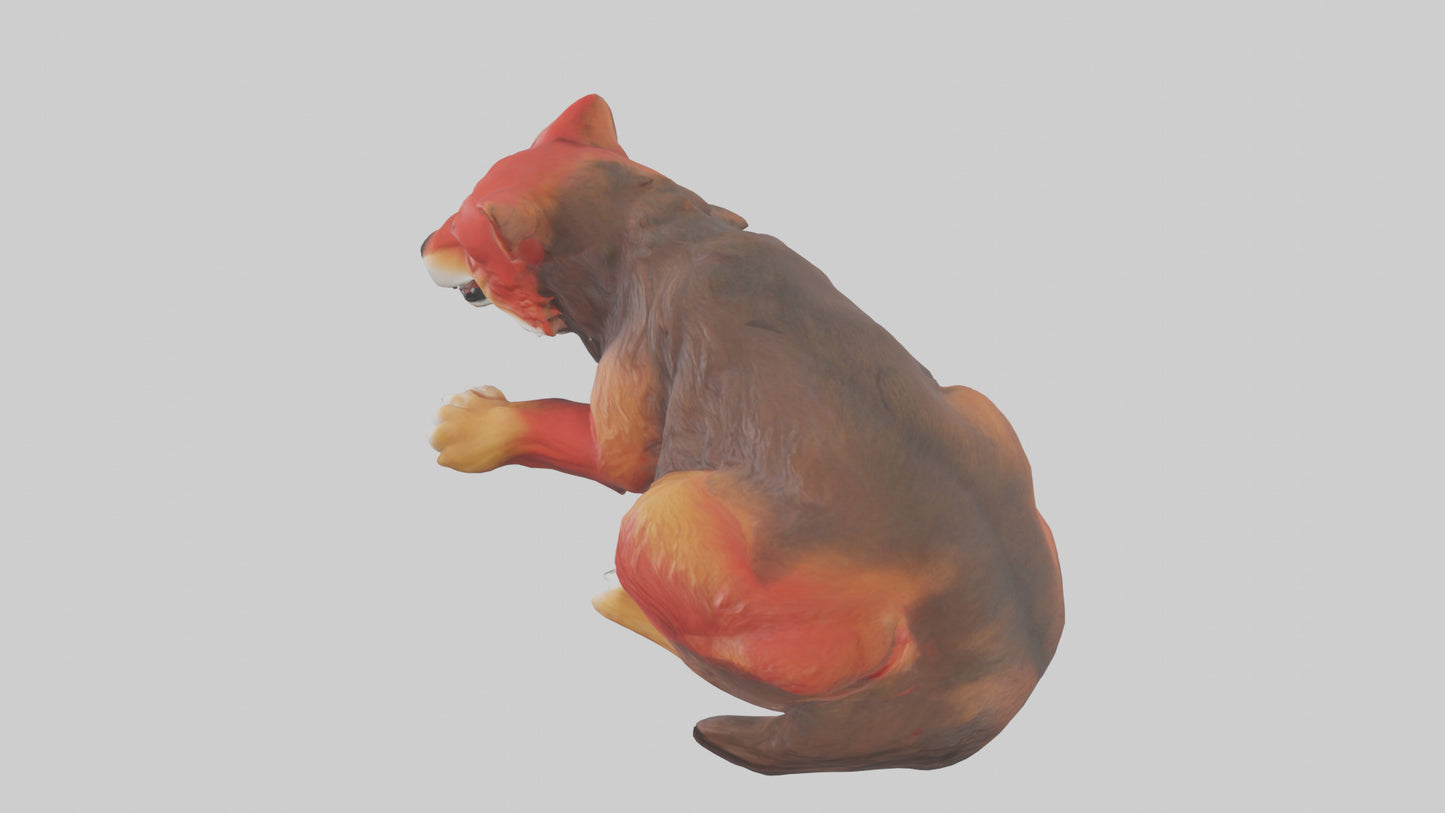 3D model Red Wolf resting model VR / AR / low-poly