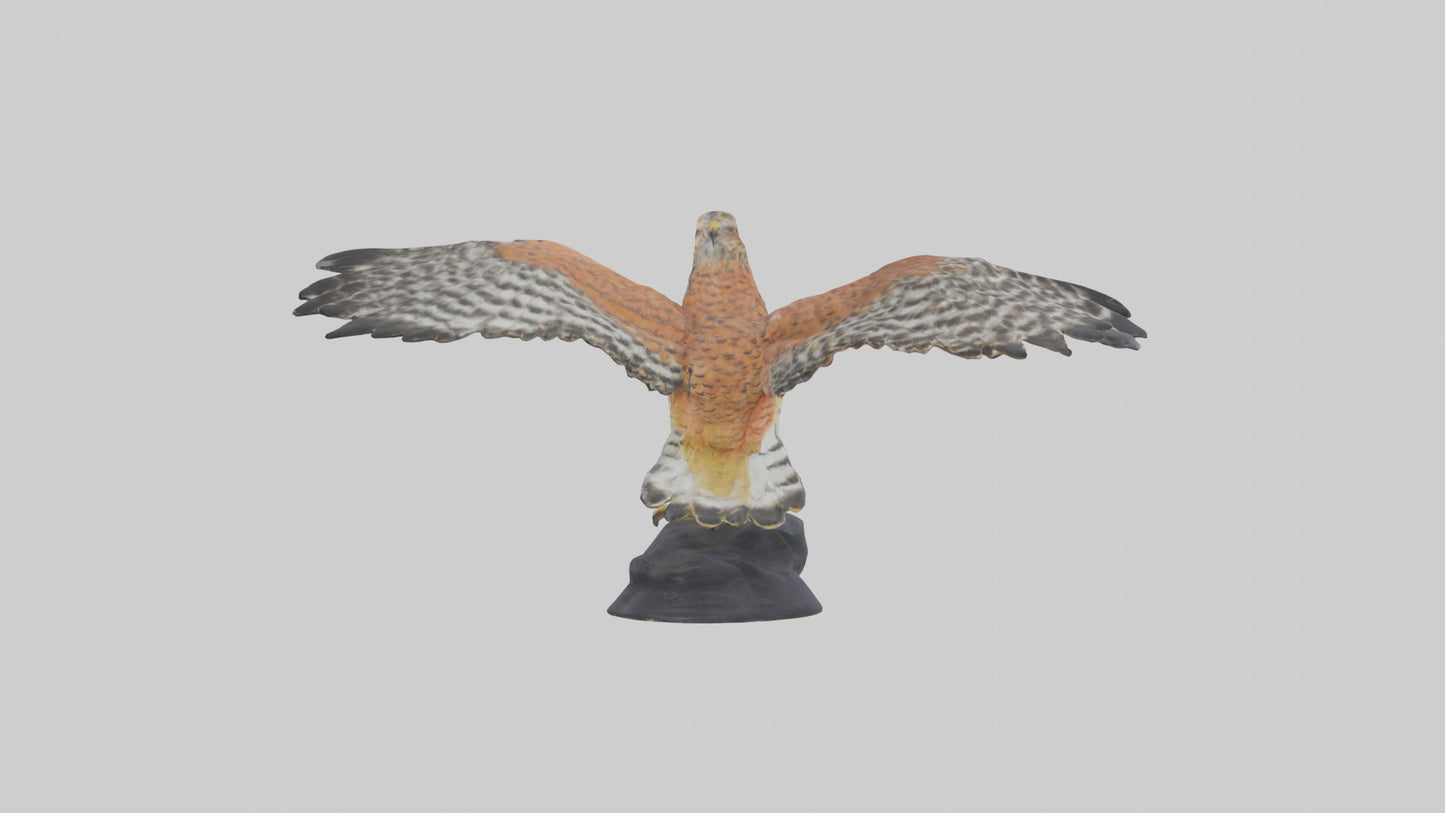 3D model Redshouldered Hawk statue model VR / AR / low-poly