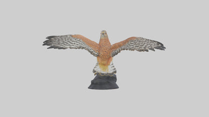 3D model Redshouldered Hawk statue model VR / AR / low-poly