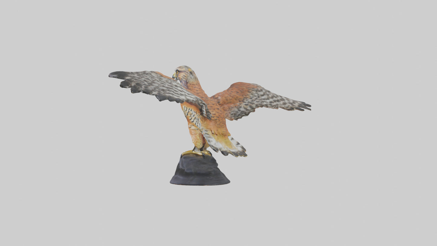 3D model Redshouldered Hawk statue model VR / AR / low-poly