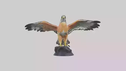 3D model Redshouldered Hawk statue model VR / AR / low-poly