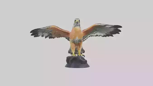 3D model Redshouldered Hawk statue model VR / AR / low-poly