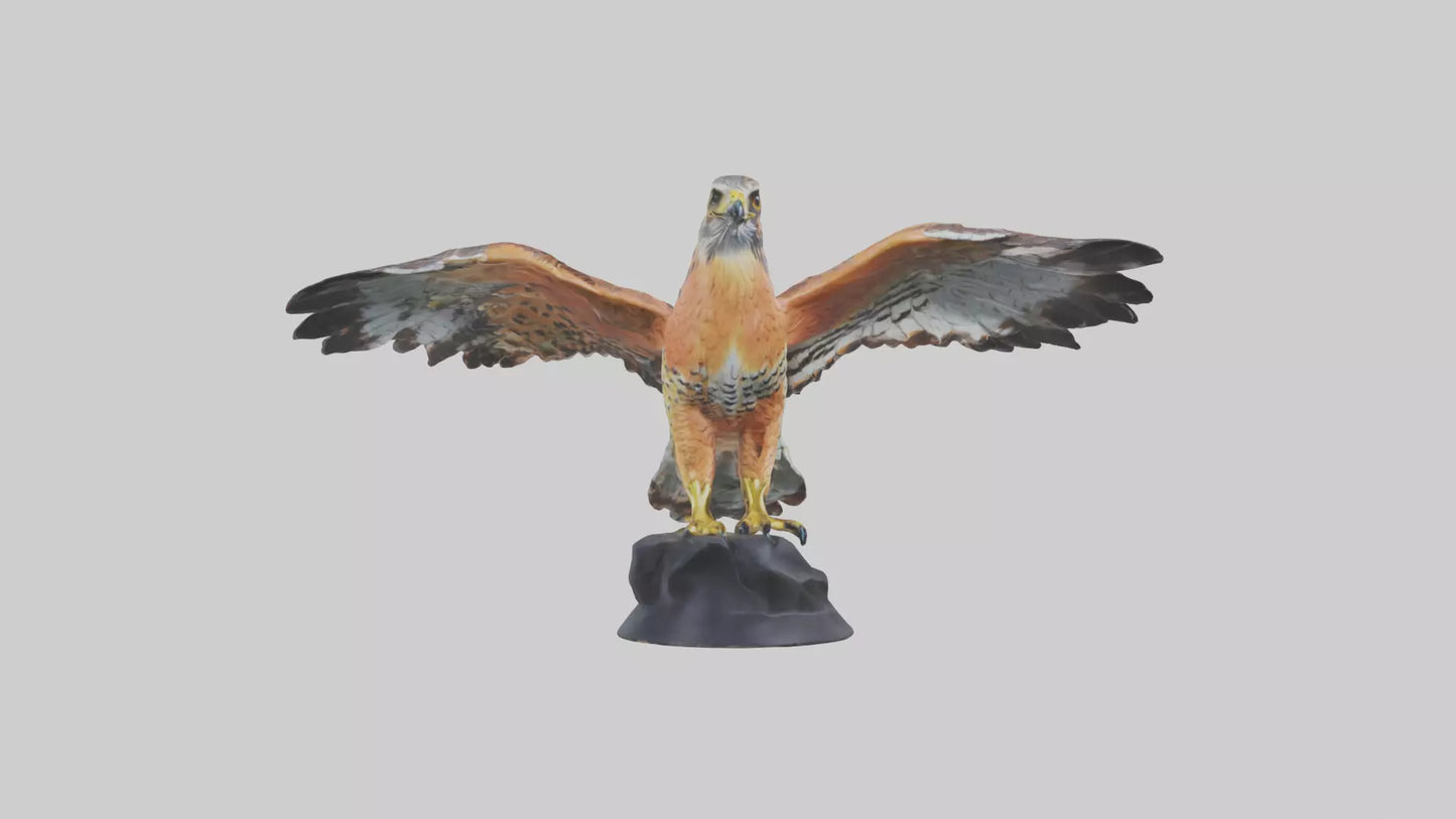 3D model Redshouldered Hawk statue model VR / AR / low-poly