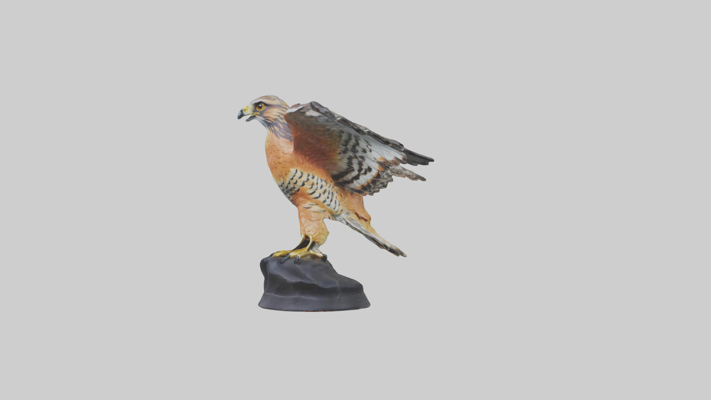 3D model Redshouldered Hawk statue model VR / AR / low-poly