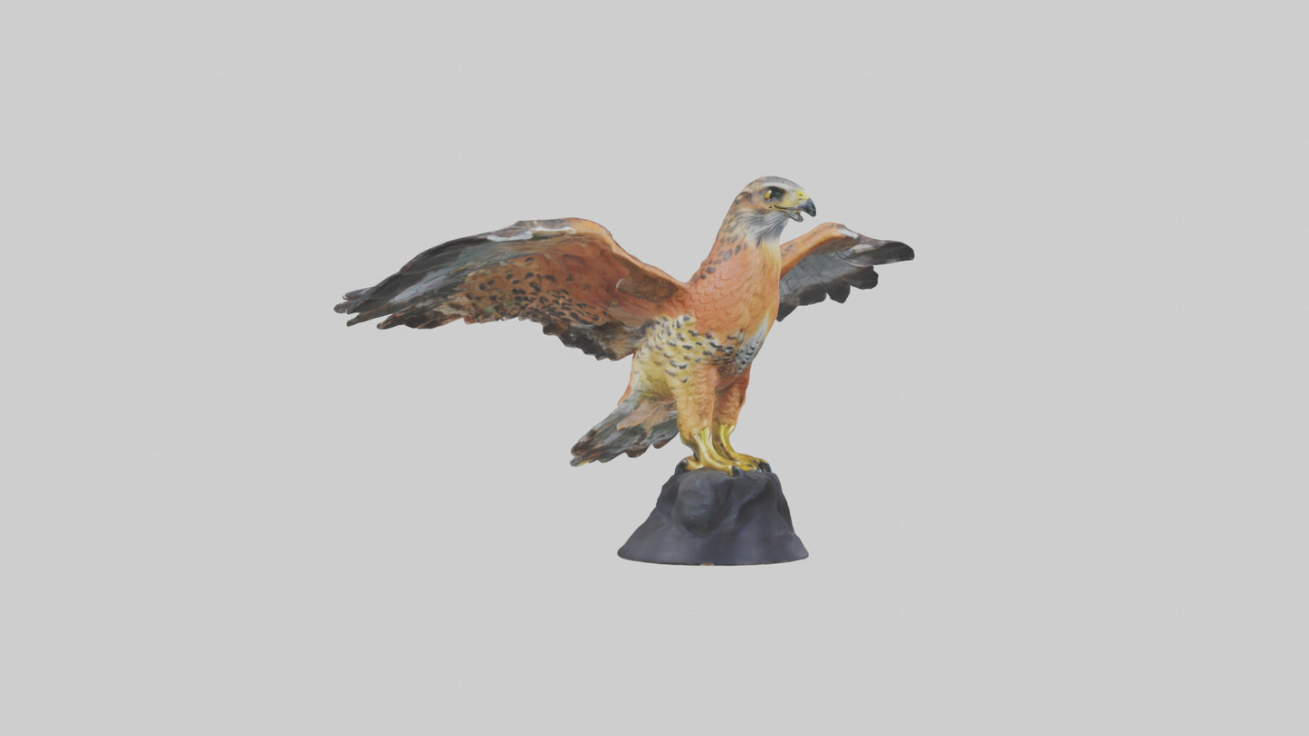 3D model Redshouldered Hawk statue model VR / AR / low-poly