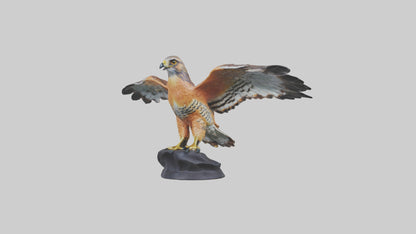3D model Redshouldered Hawk statue model VR / AR / low-poly