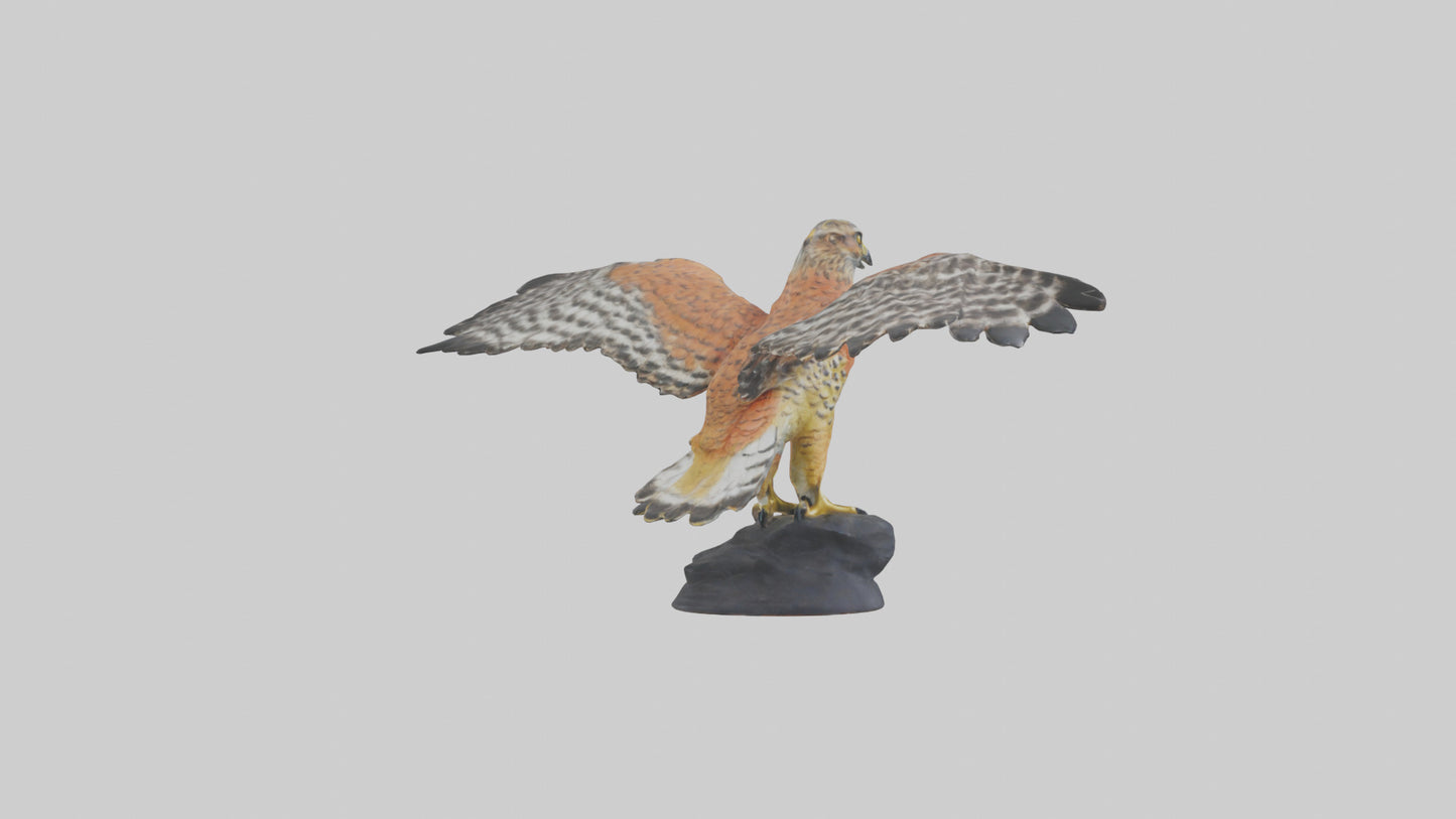 3D model Redshouldered Hawk statue model VR / AR / low-poly