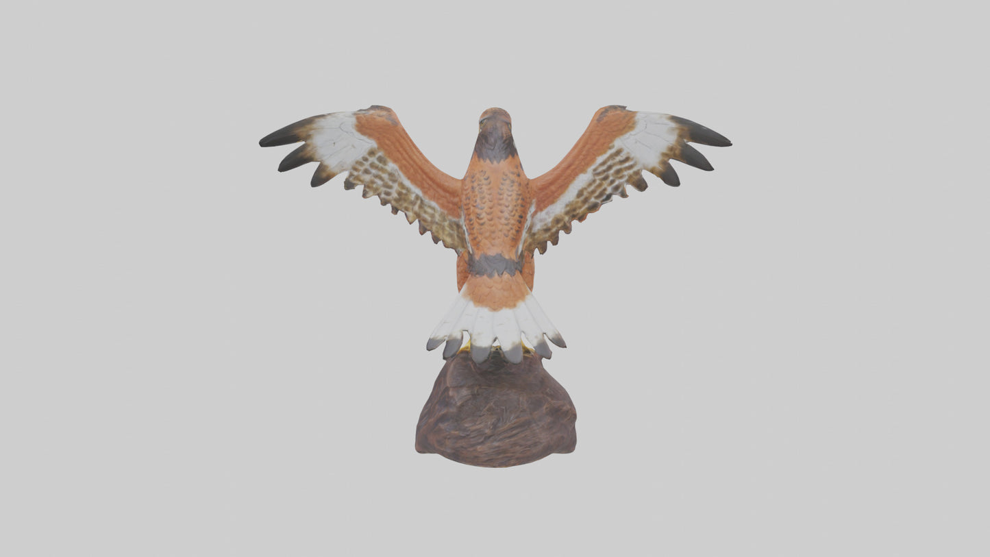 Redtailed Hawk statue model VR / AR / low-poly