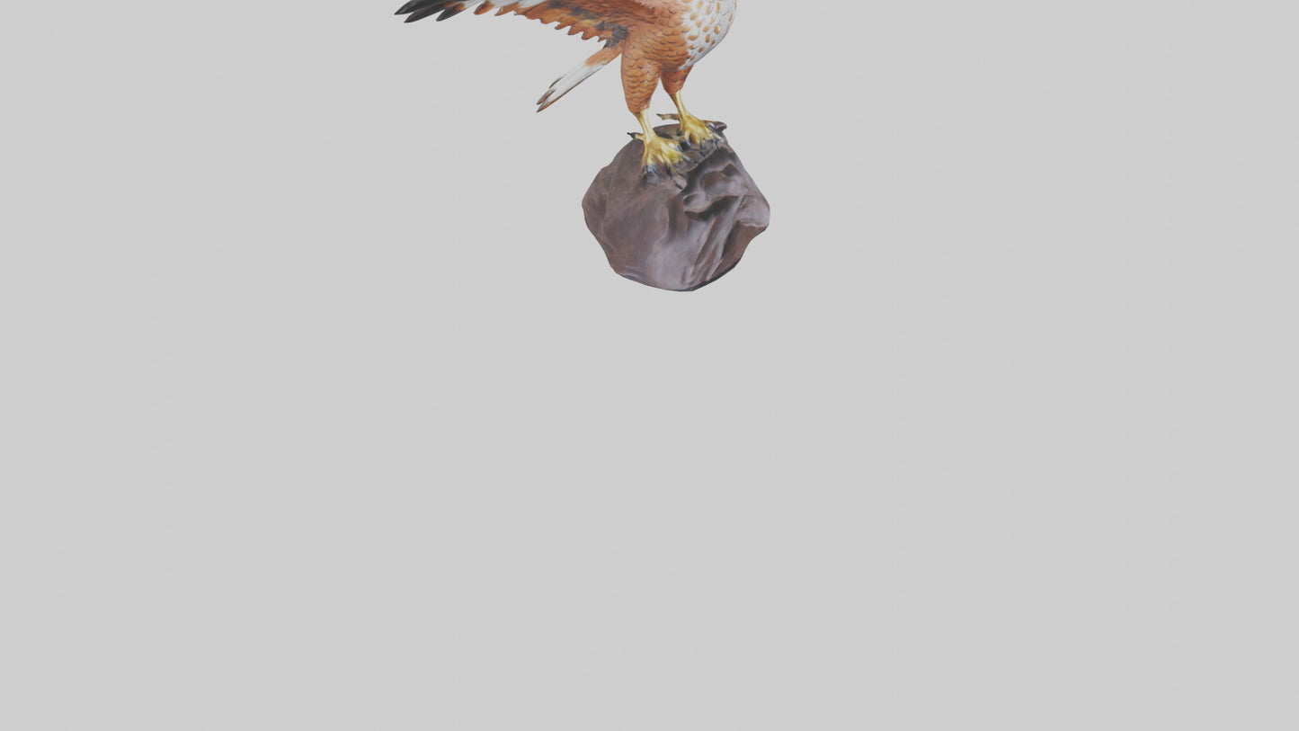 Redtailed Hawk statue model VR / AR / low-poly