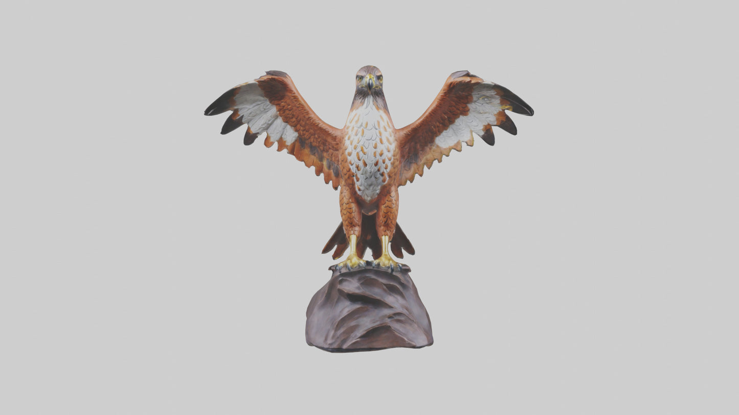 Redtailed Hawk statue model VR / AR / low-poly