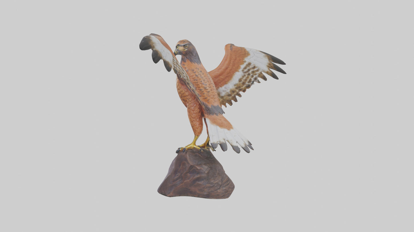 Redtailed Hawk statue model VR / AR / low-poly