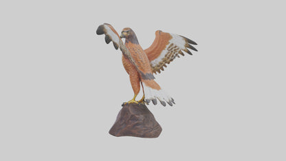 Redtailed Hawk statue model VR / AR / low-poly