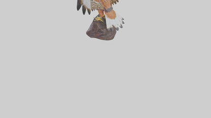 Redtailed Hawk statue model VR / AR / low-poly