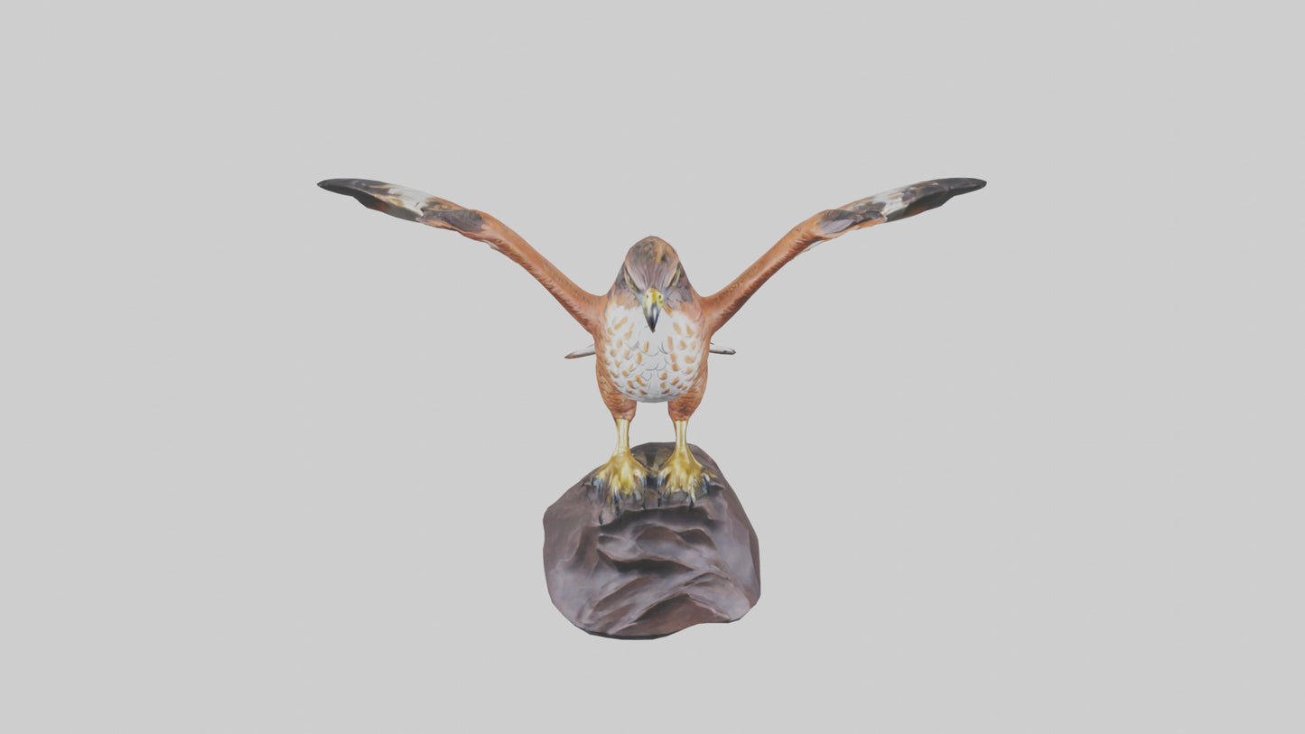 Redtailed Hawk statue model VR / AR / low-poly