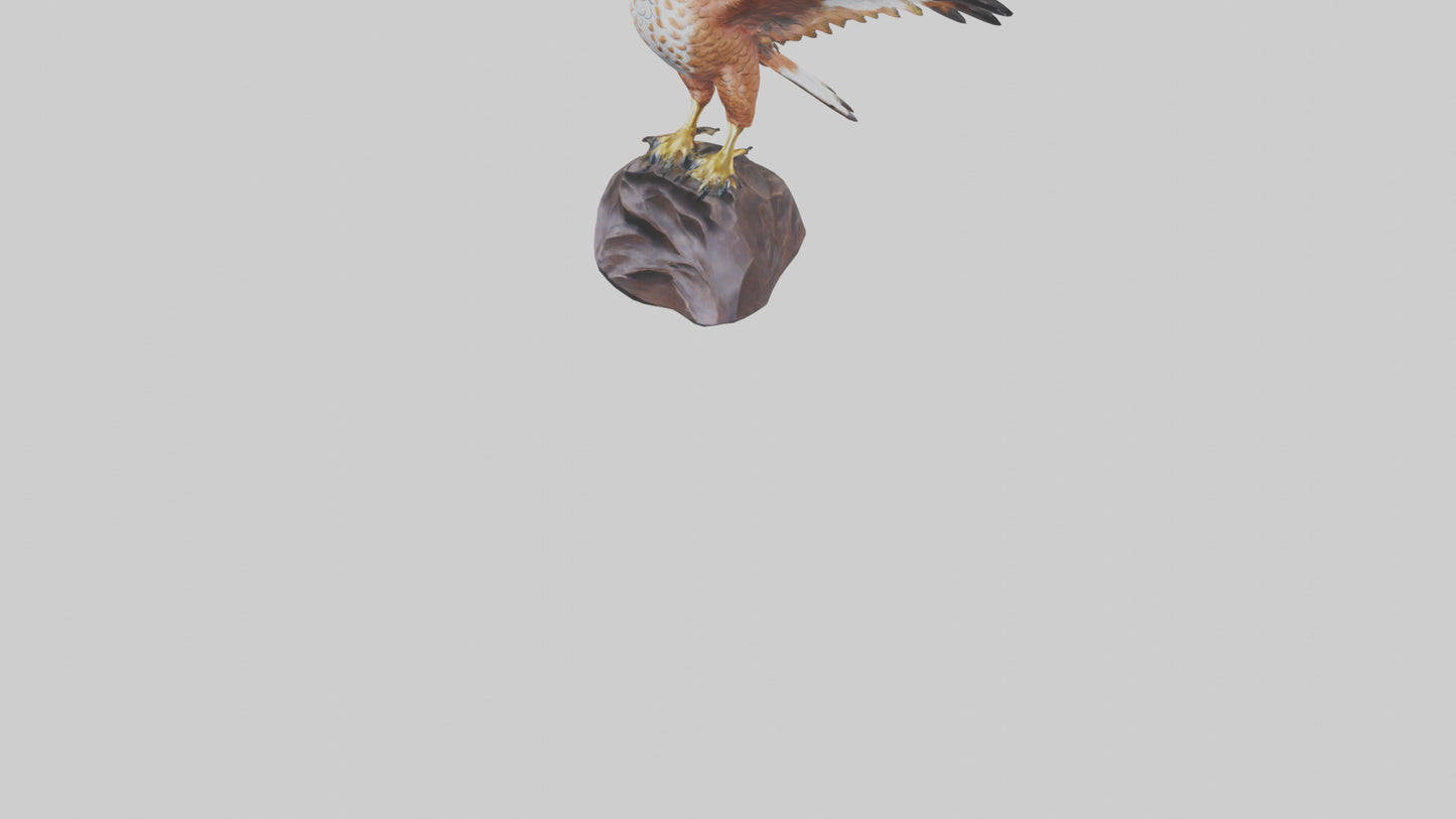 Redtailed Hawk statue model VR / AR / low-poly