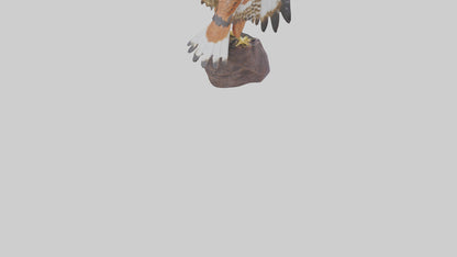 Redtailed Hawk statue model VR / AR / low-poly