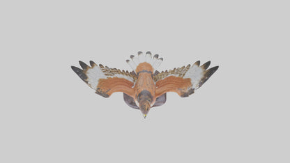 Redtailed Hawk statue model VR / AR / low-poly