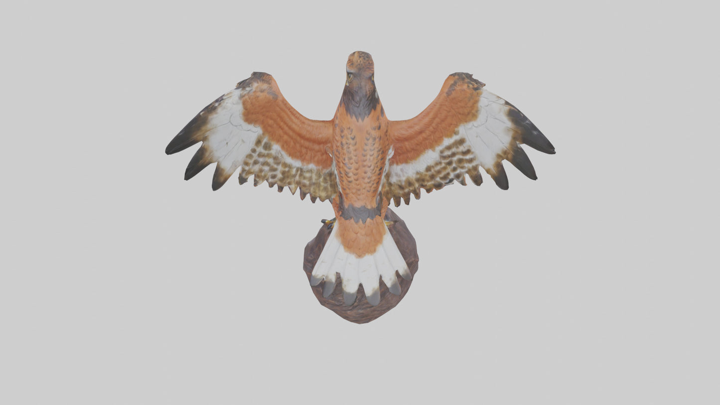 Redtailed Hawk statue model VR / AR / low-poly