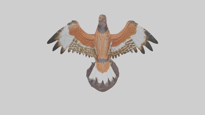 Redtailed Hawk statue model VR / AR / low-poly