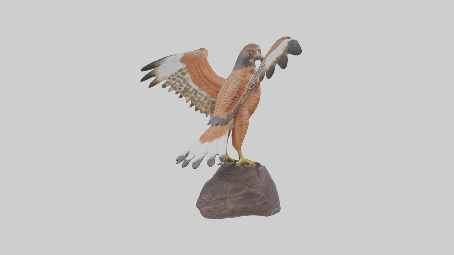 Redtailed Hawk statue model VR / AR / low-poly