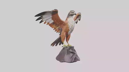 Redtailed Hawk statue model VR / AR / low-poly