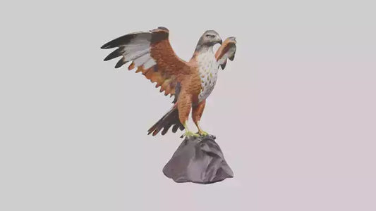 Redtailed Hawk statue model VR / AR / low-poly