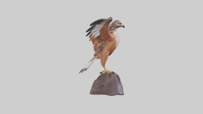 Redtailed Hawk statue model VR / AR / low-poly