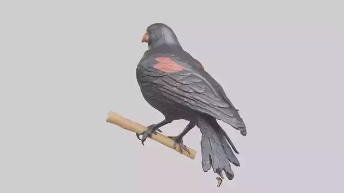 3D model Redwinged Blackbird statue model VR / AR / low-poly