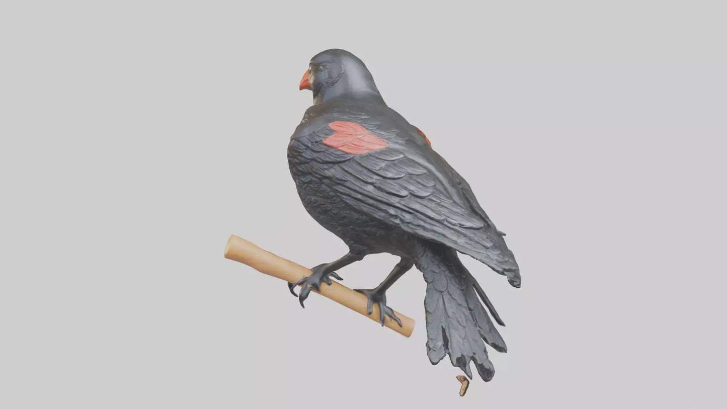 3D model Redwinged Blackbird statue model VR / AR / low-poly