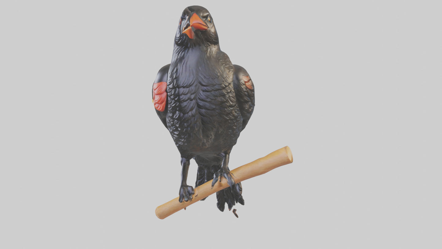 3D model Redwinged Blackbird statue model VR / AR / low-poly