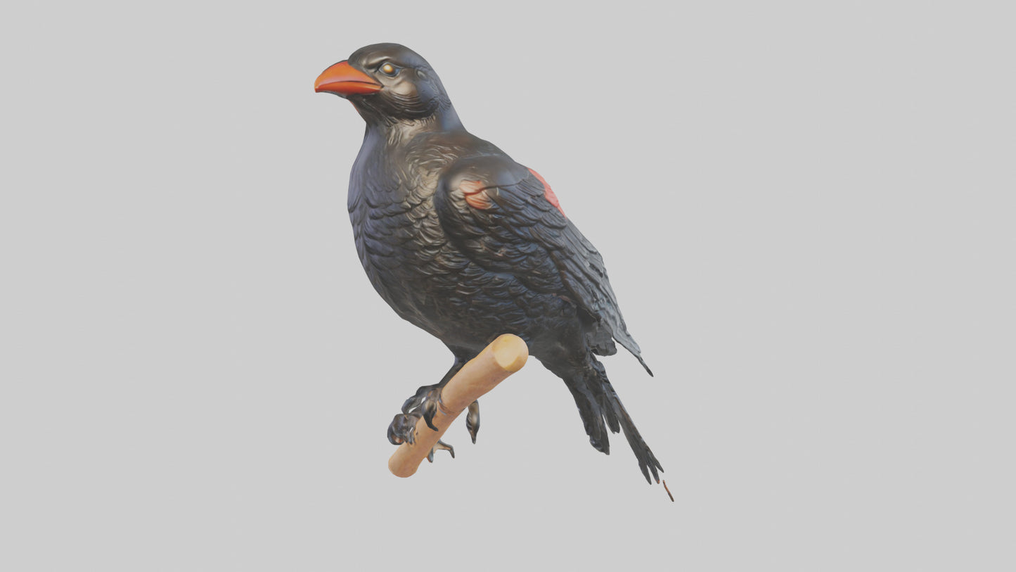 3D model Redwinged Blackbird statue model VR / AR / low-poly