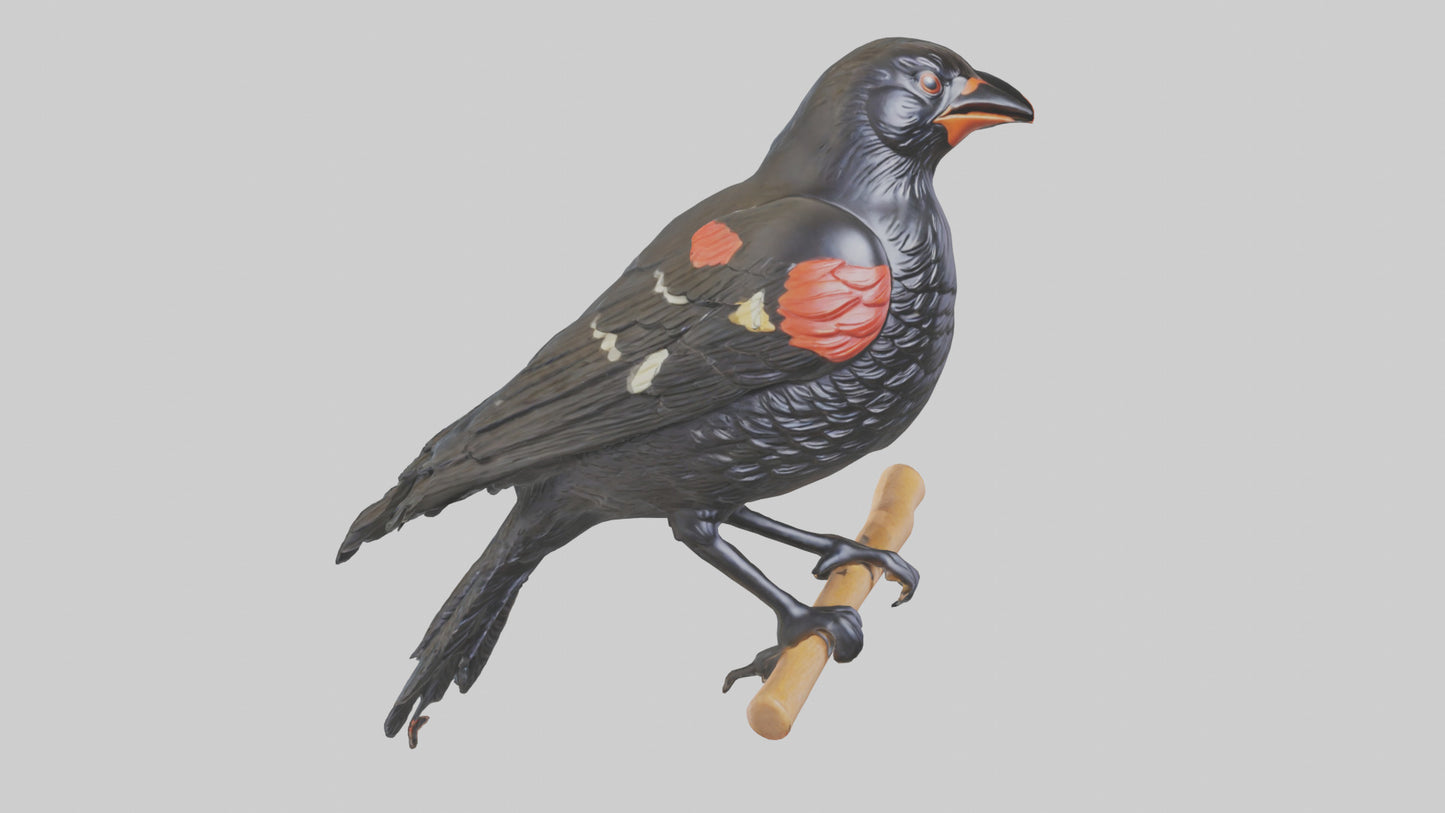 3D model Redwinged Blackbird statue model VR / AR / low-poly