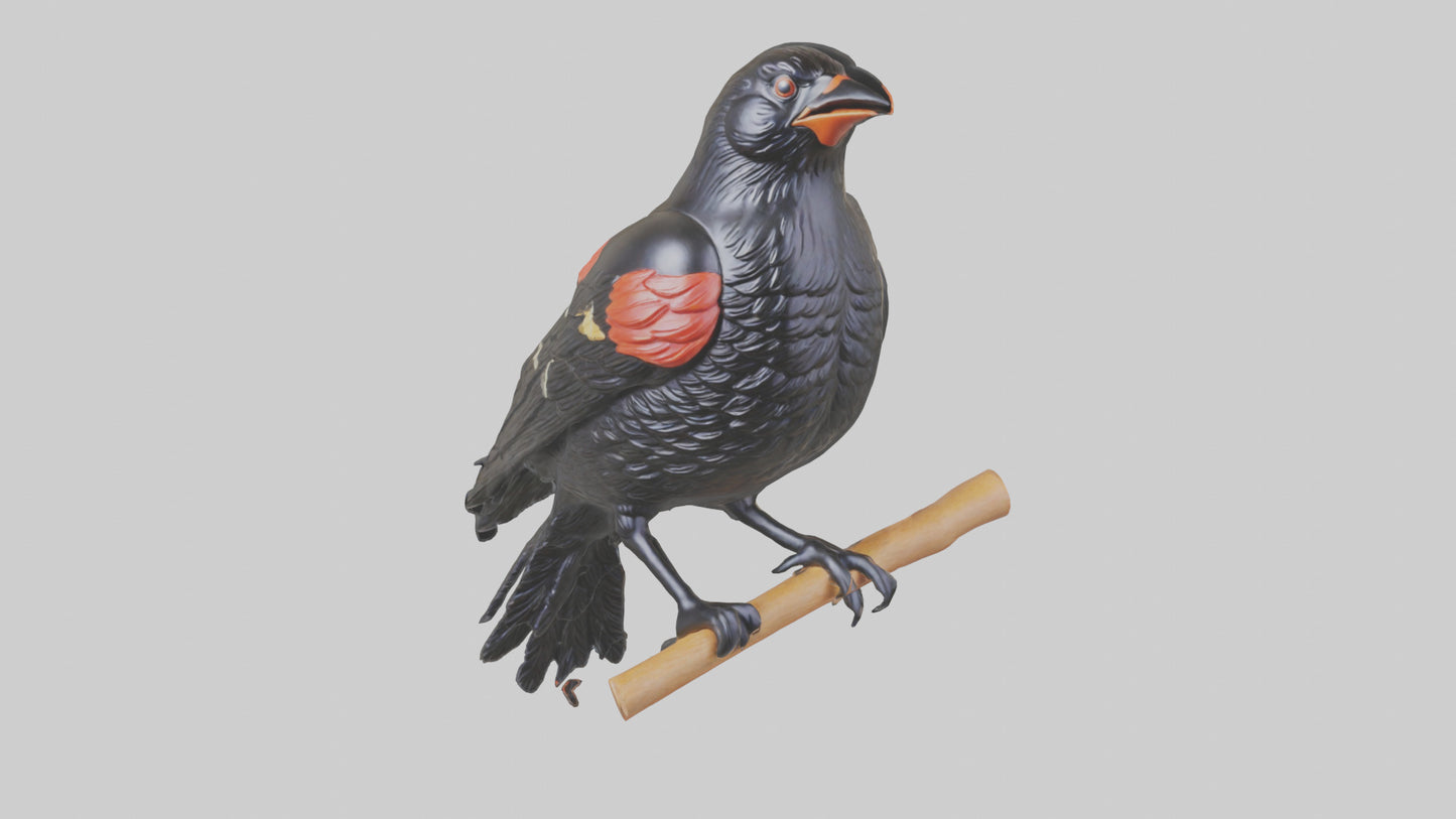 3D model Redwinged Blackbird statue model VR / AR / low-poly