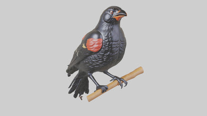 3D model Redwinged Blackbird statue model VR / AR / low-poly