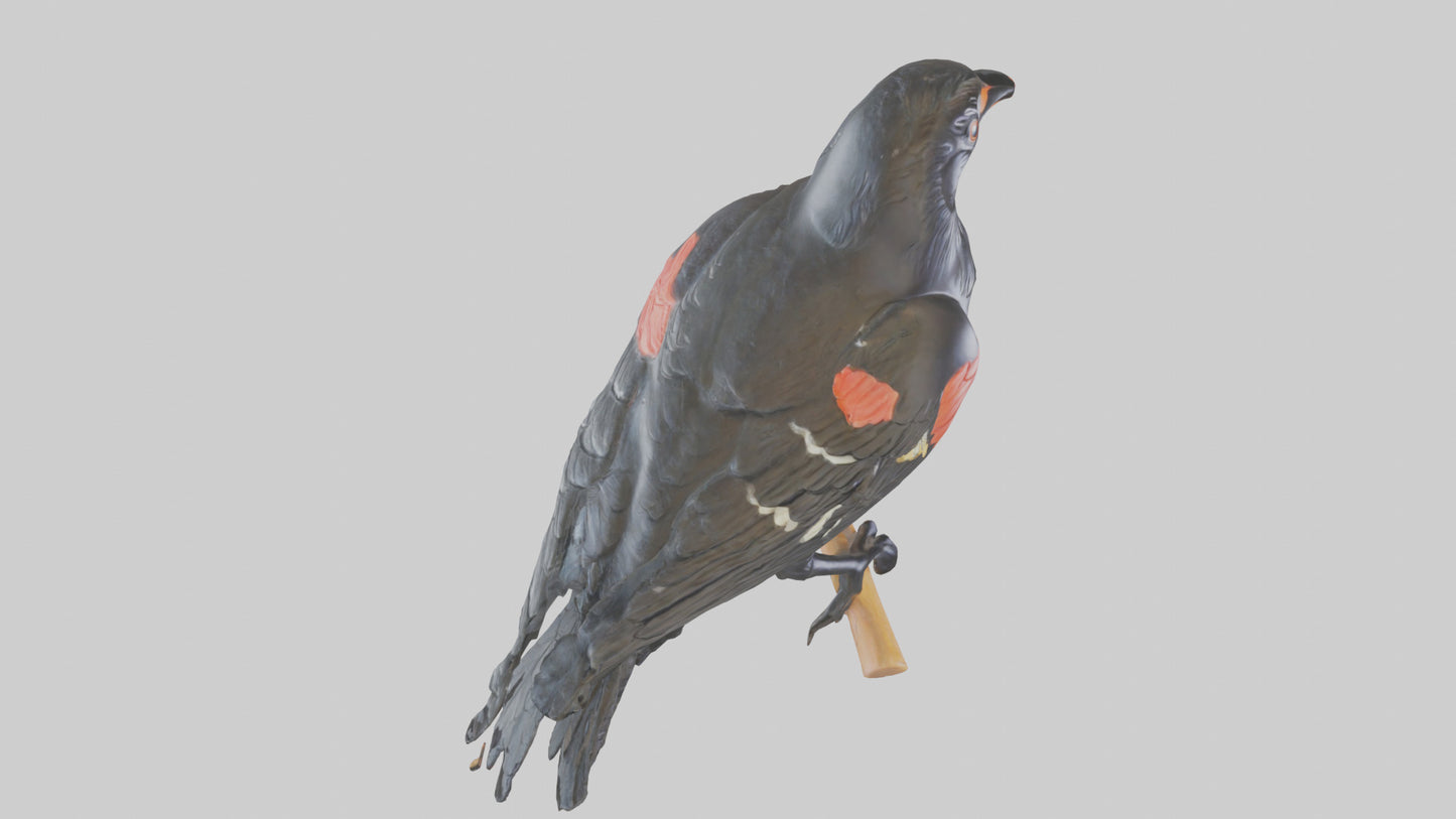 3D model Redwinged Blackbird statue model VR / AR / low-poly