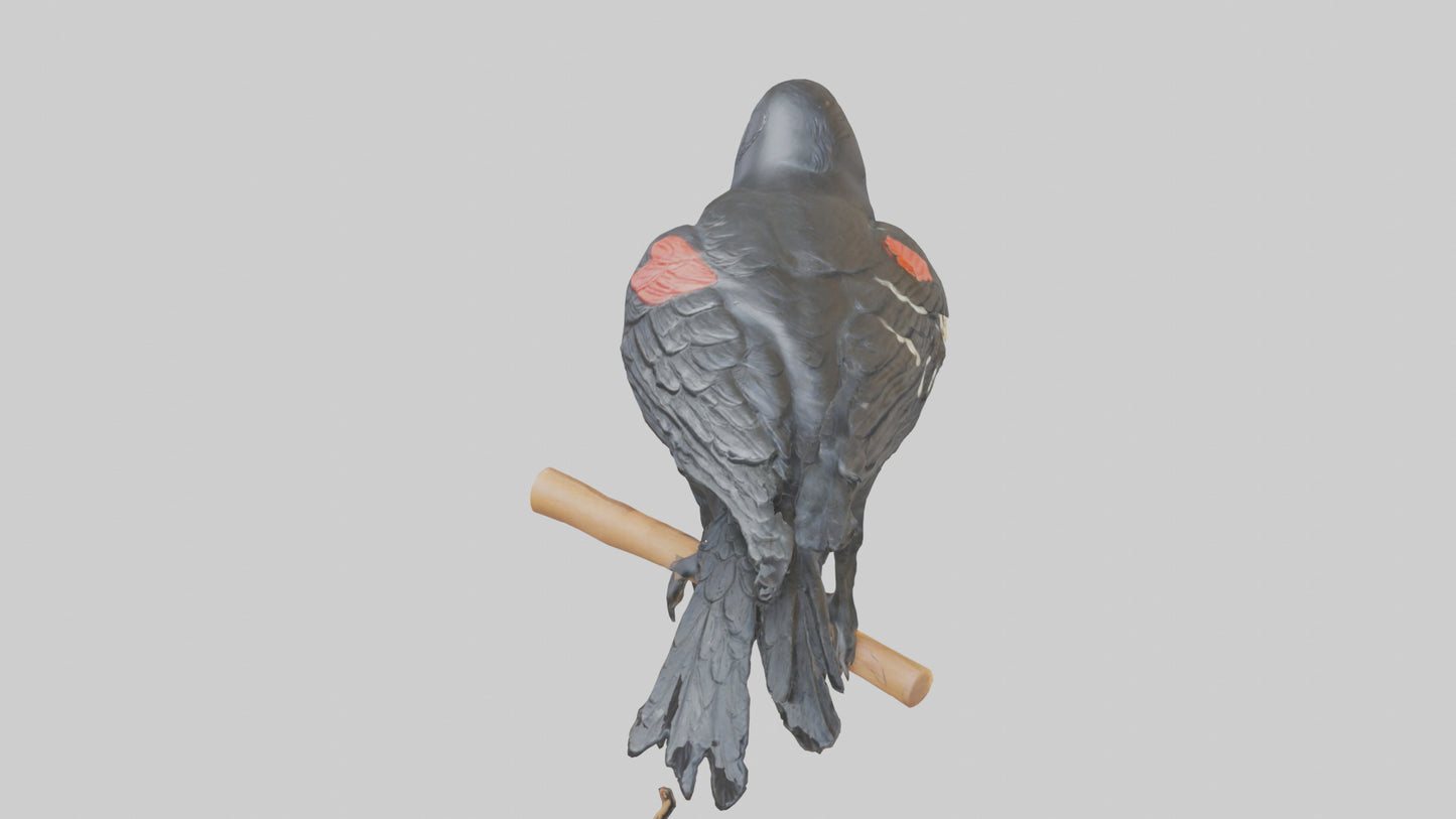 3D model Redwinged Blackbird statue model VR / AR / low-poly