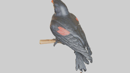 3D model Redwinged Blackbird statue model VR / AR / low-poly