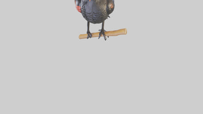 3D model Redwinged Blackbird statue model VR / AR / low-poly