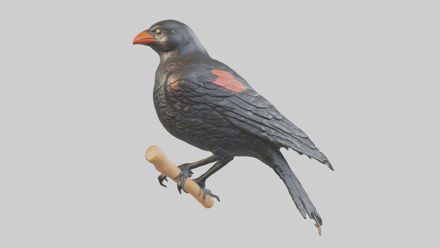 3D model Redwinged Blackbird statue model VR / AR / low-poly
