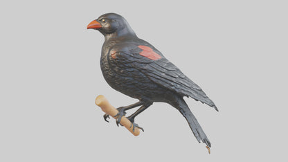 3D model Redwinged Blackbird statue model VR / AR / low-poly