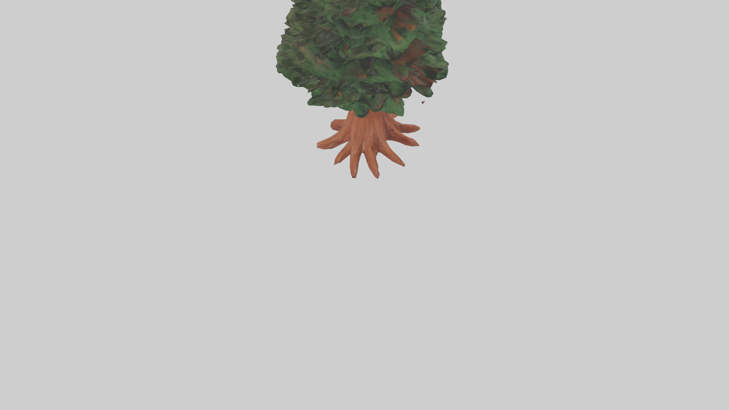 3D model Redwood tree model VR / AR / low-poly