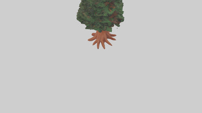 3D model Redwood tree model VR / AR / low-poly
