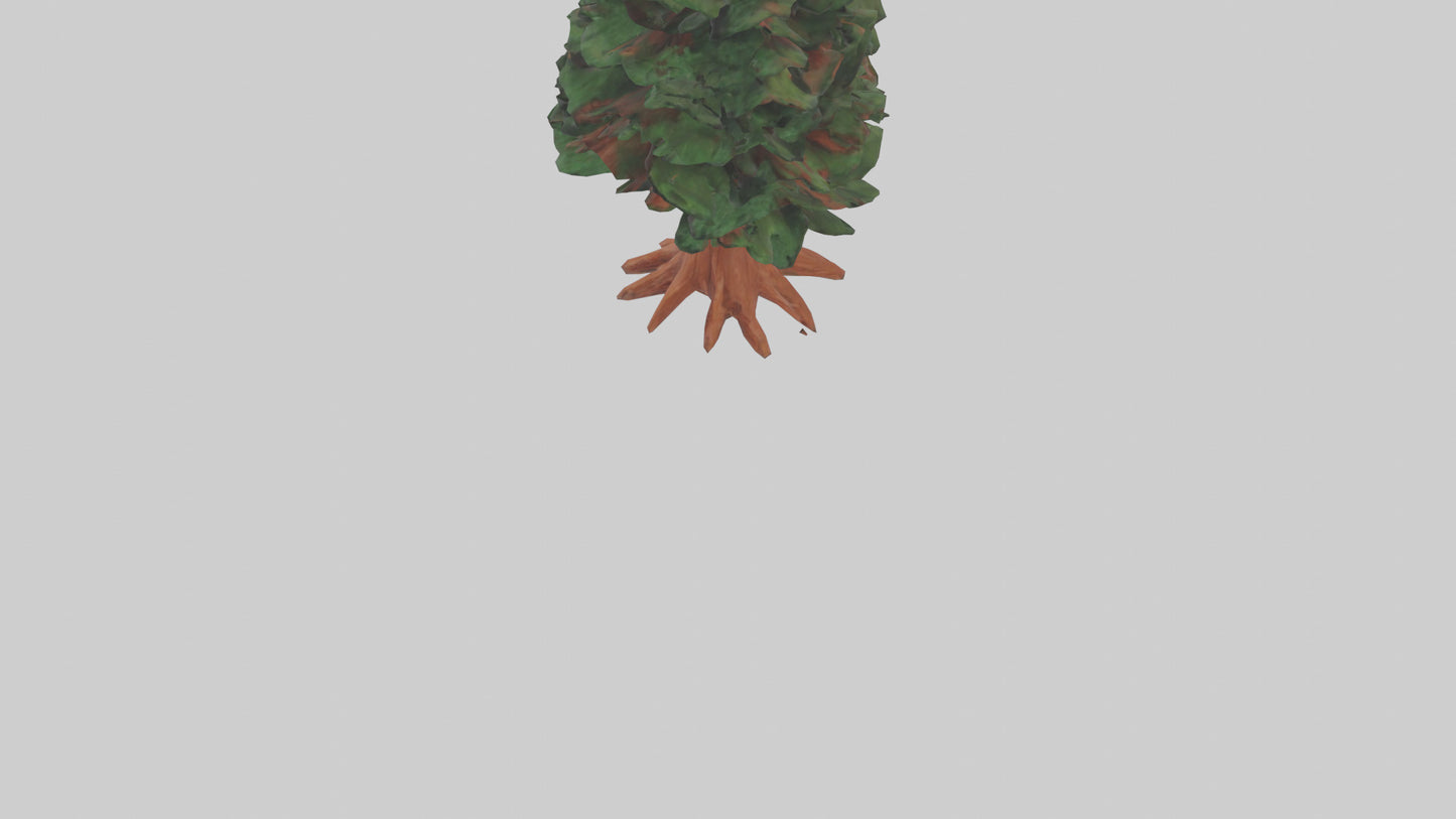 3D model Redwood tree model VR / AR / low-poly