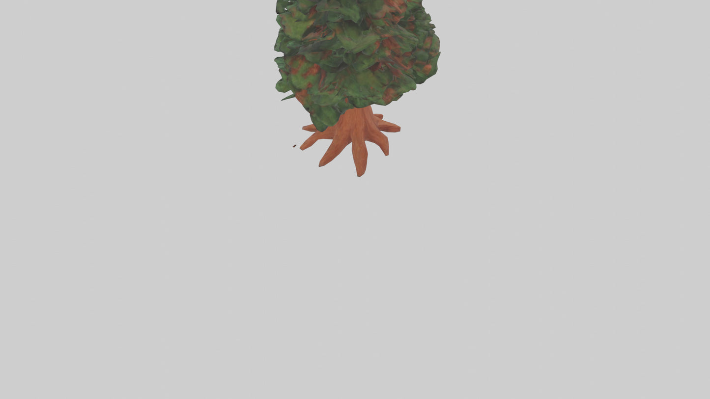 3D model Redwood tree model VR / AR / low-poly