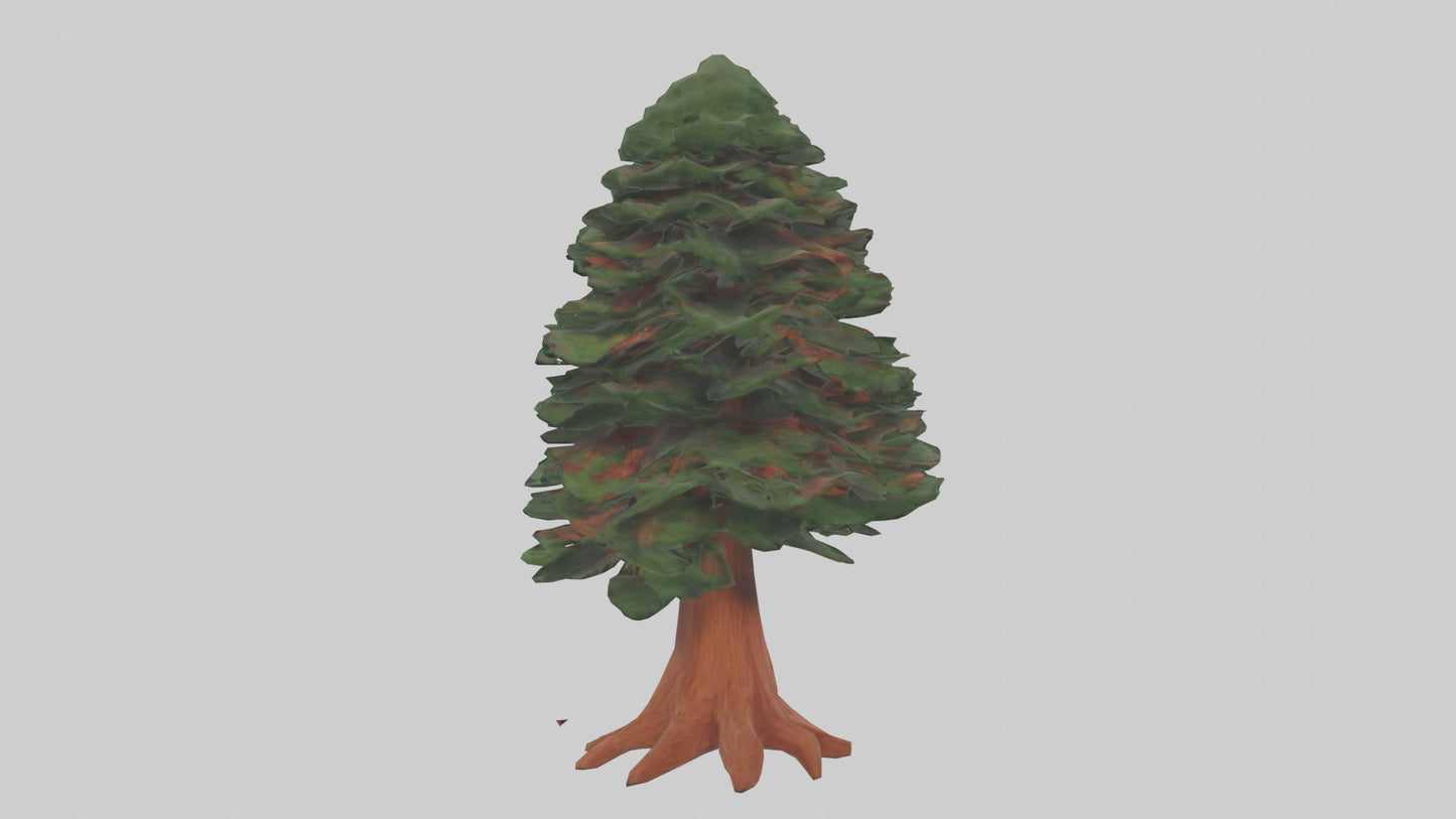 3D model Redwood tree model VR / AR / low-poly