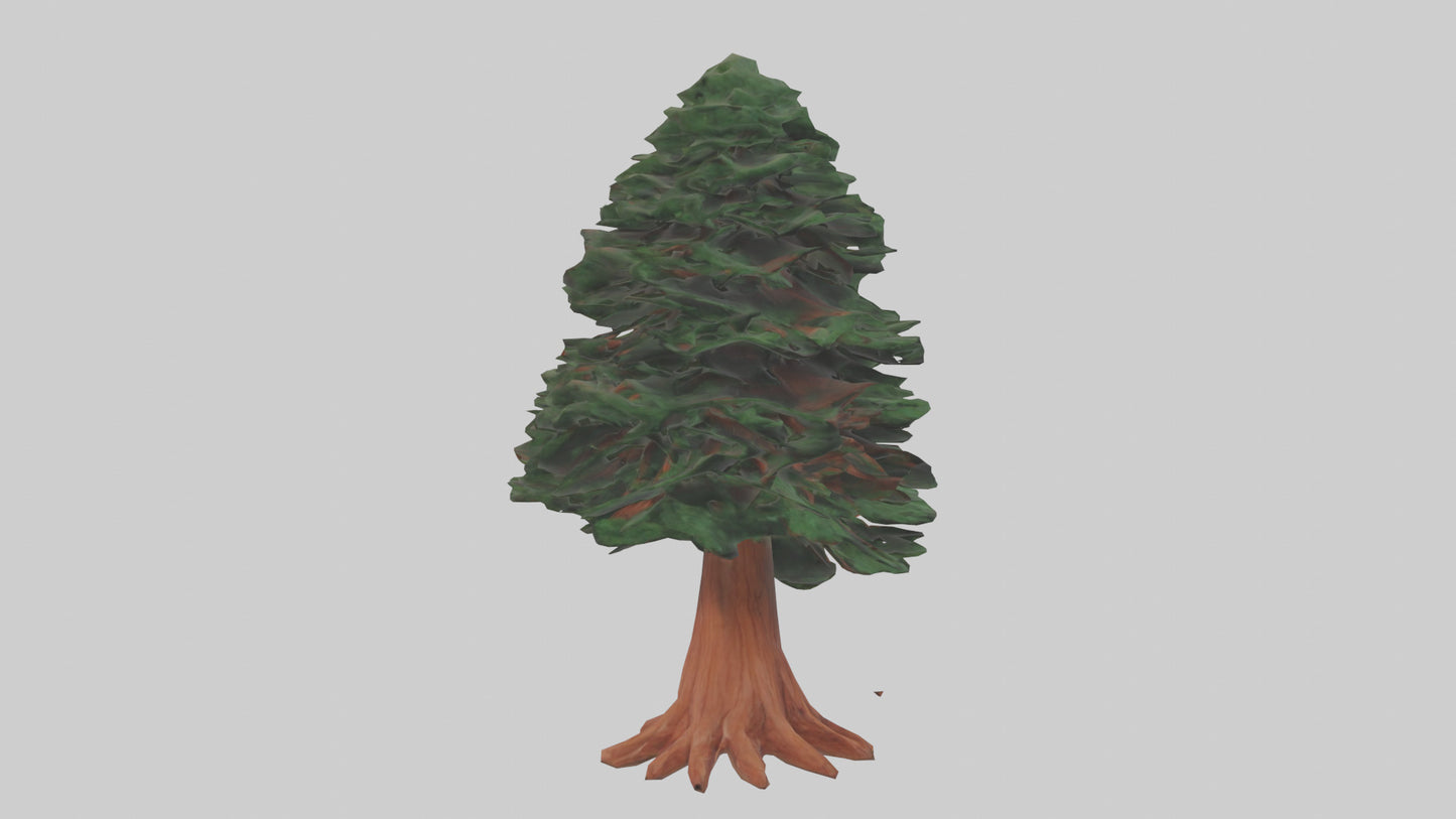 3D model Redwood tree model VR / AR / low-poly