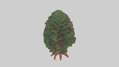 3D model Redwood tree model VR / AR / low-poly