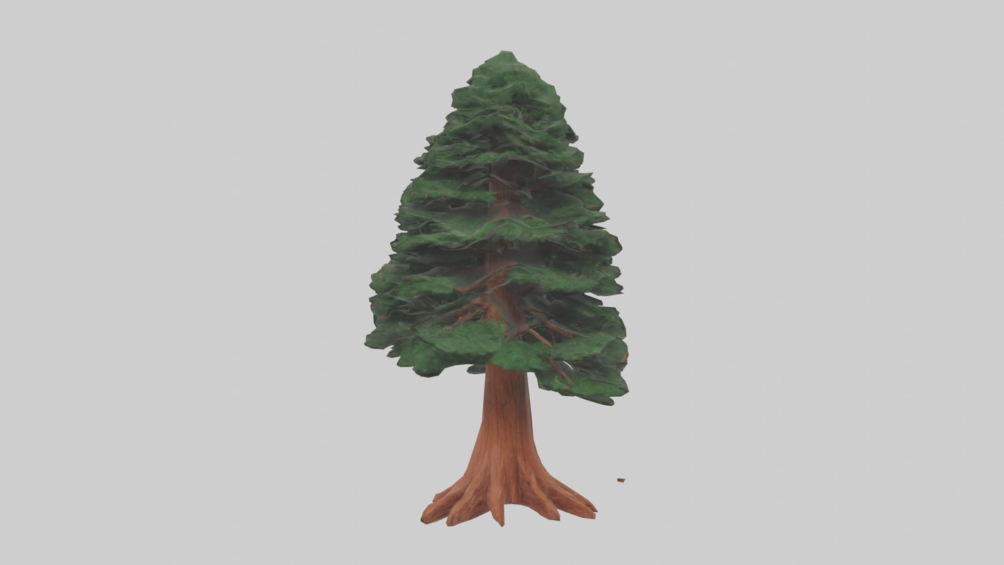 3D model Redwood tree model VR / AR / low-poly